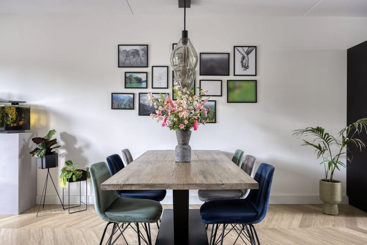 Foto 15 van Sonate 10