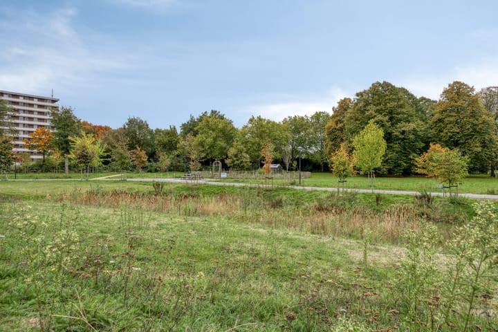 Foto 48 van Sonate 10