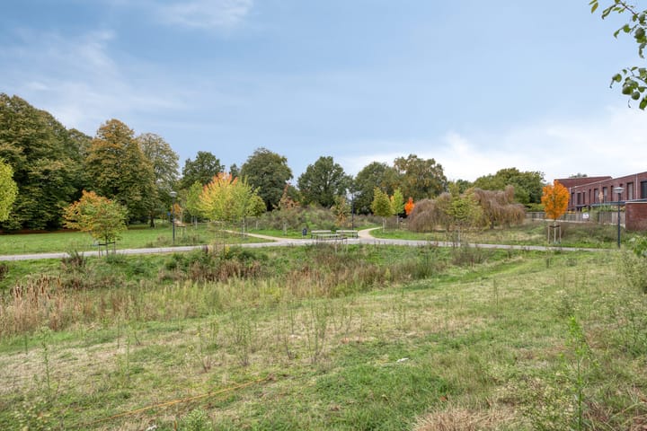 Foto 49 van Sonate 10