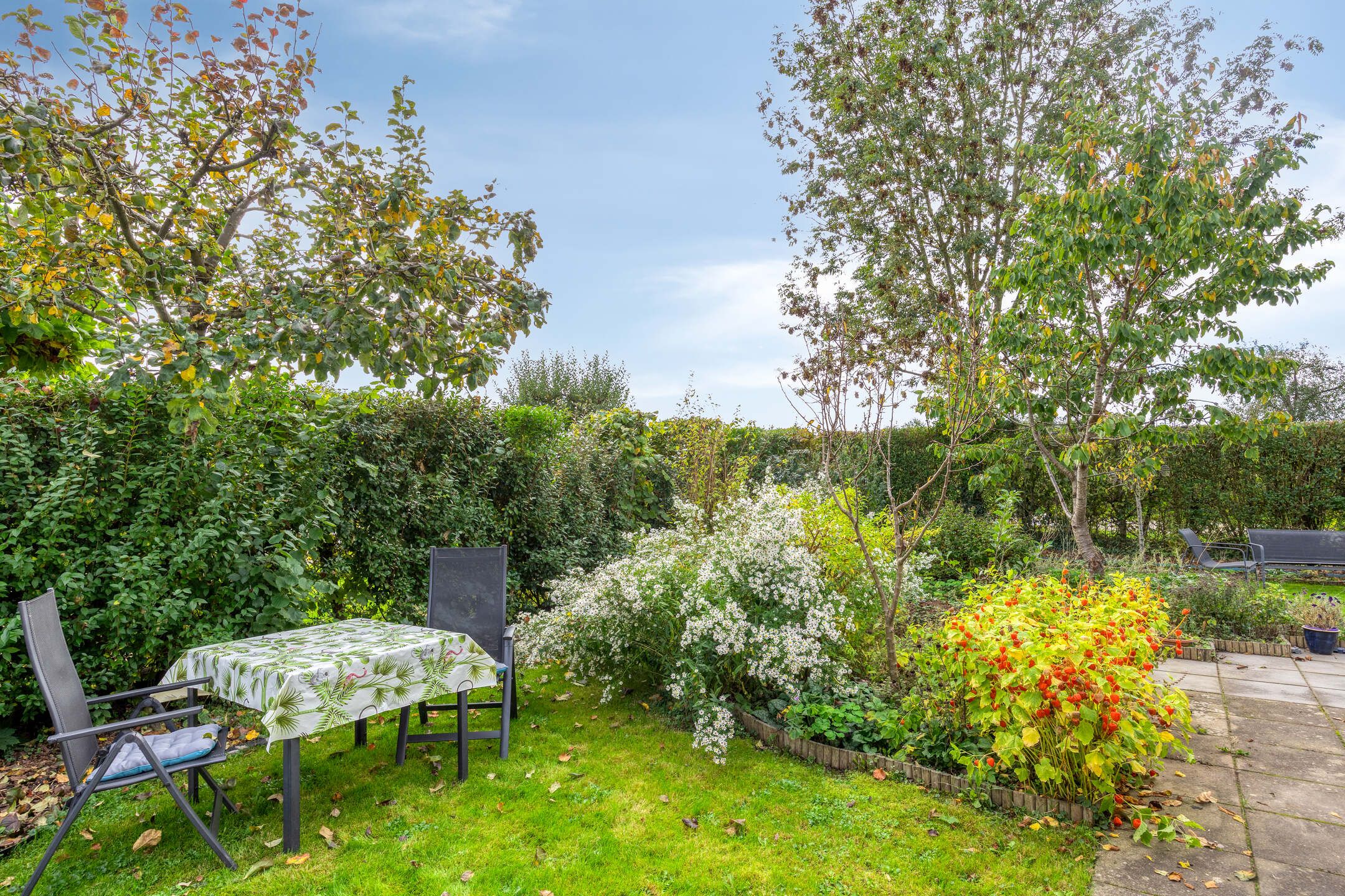 Photo 30 of Bronsbergen 25-R109