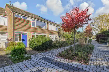 undefined main image