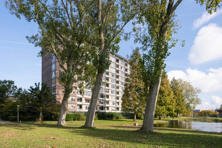 Burgemeester Van Haarenlaan 1366