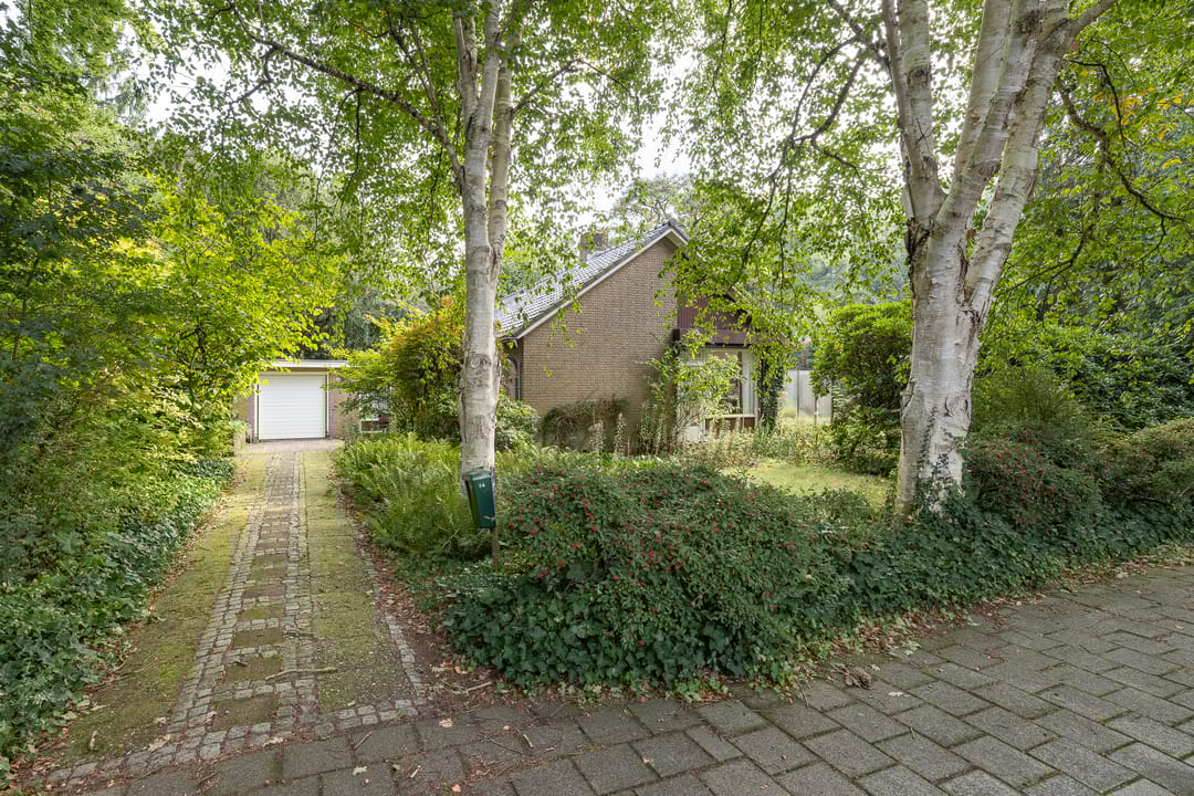 Foto 2 van Doctor Schaepmanlaan 14