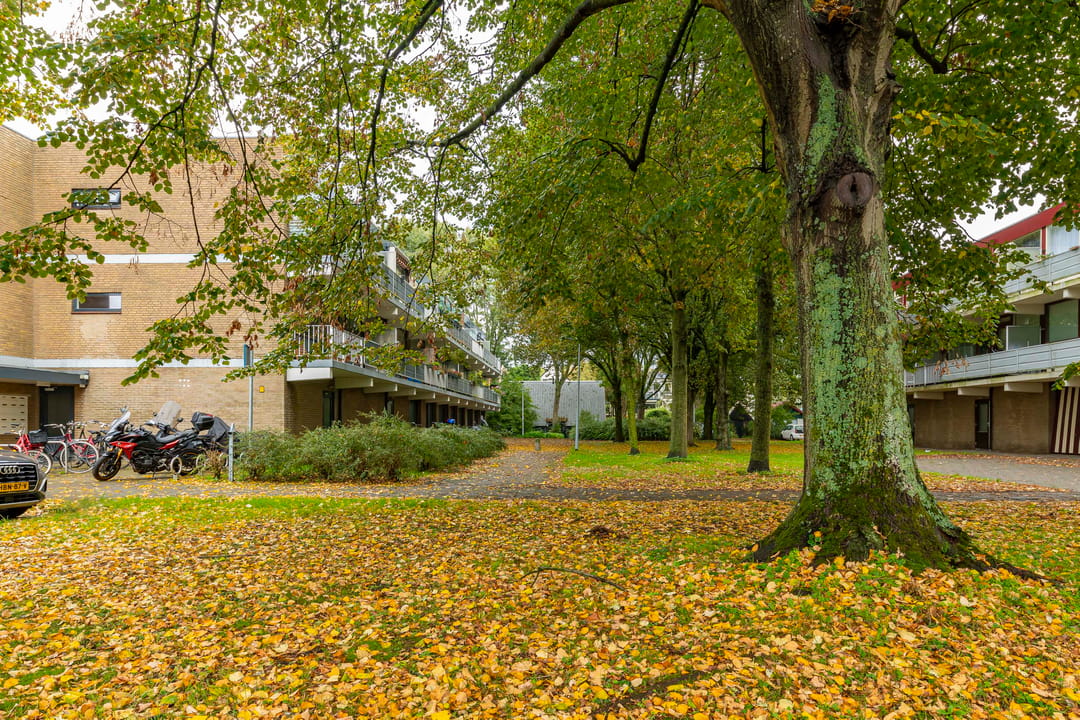 Photo 32 of Meidoornweg 22