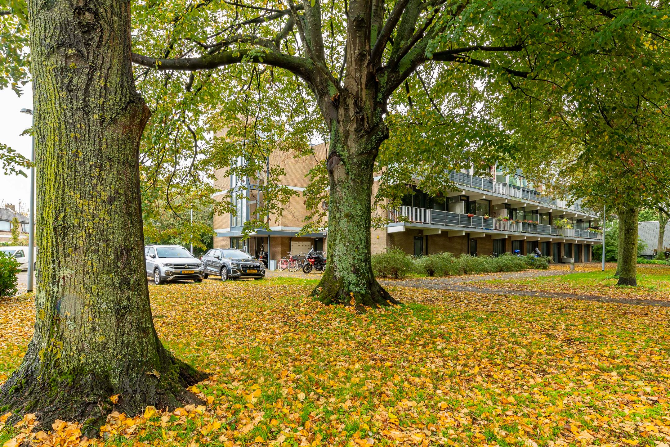 Photo 33 of Meidoornweg 22