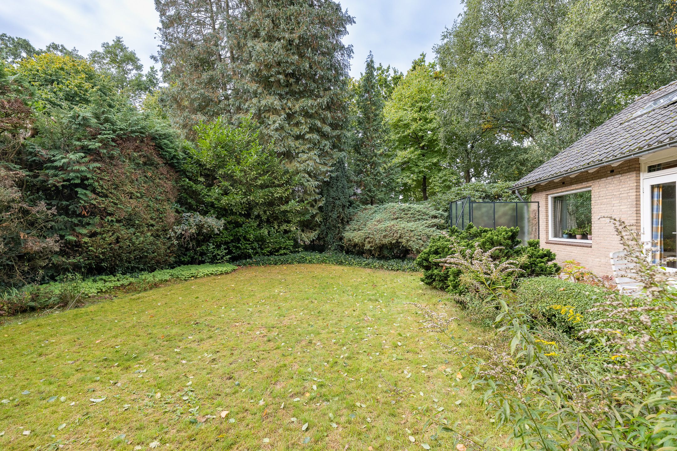 Foto 36 van Doctor Schaepmanlaan 14