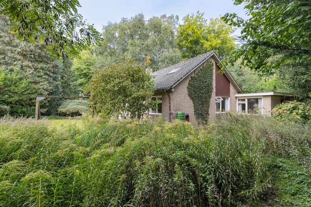 Foto 41 van Doctor Schaepmanlaan 14