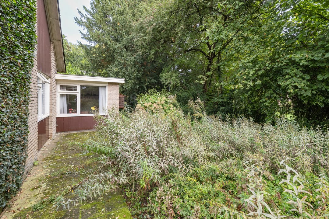 Foto 43 van Doctor Schaepmanlaan 14