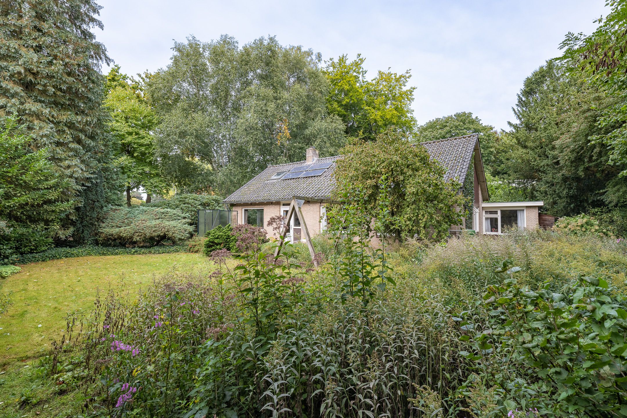 Foto 45 van Doctor Schaepmanlaan 14