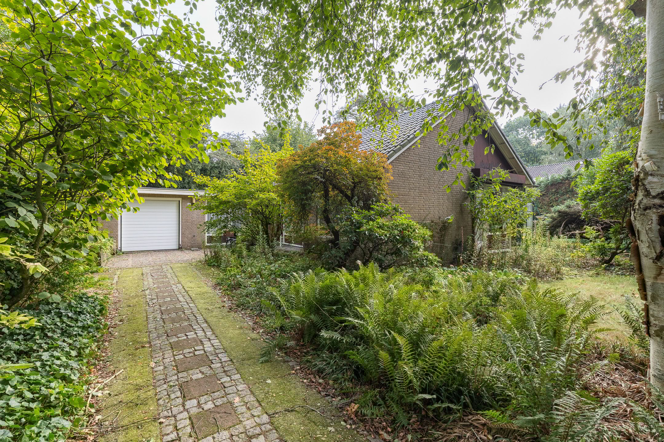 Foto 48 van Doctor Schaepmanlaan 14