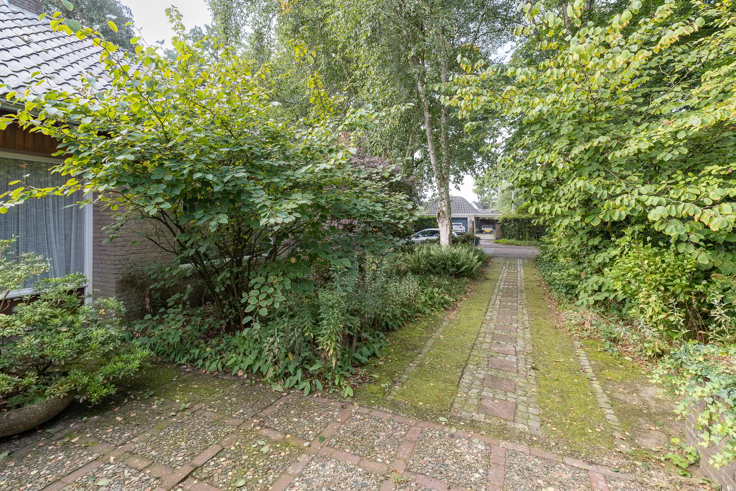 Foto 49 van Doctor Schaepmanlaan 14