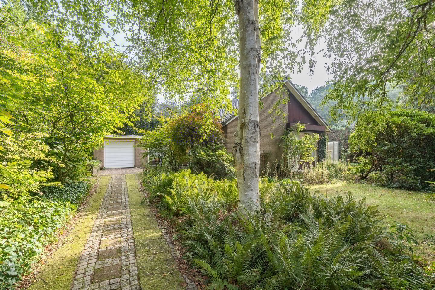 Foto 50 van Doctor Schaepmanlaan 14