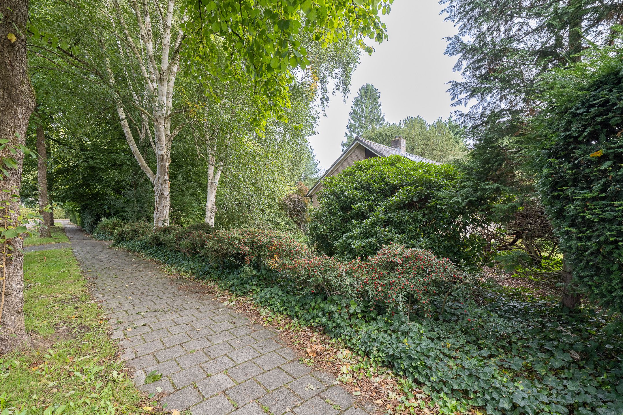 Foto 51 van Doctor Schaepmanlaan 14