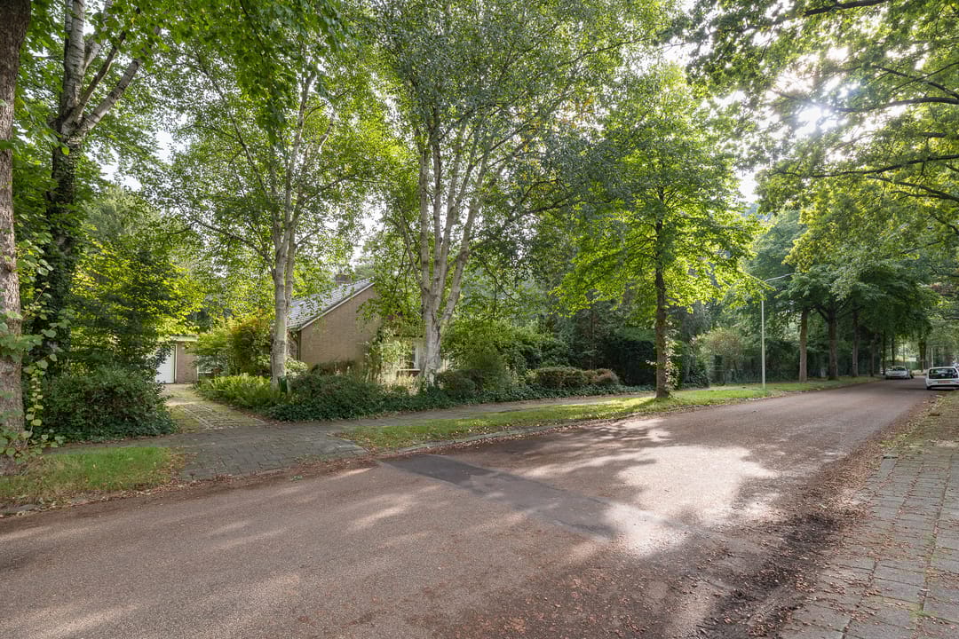 Foto 52 van Doctor Schaepmanlaan 14