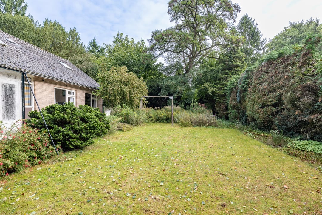 Foto 37 van Doctor Schaepmanlaan 14