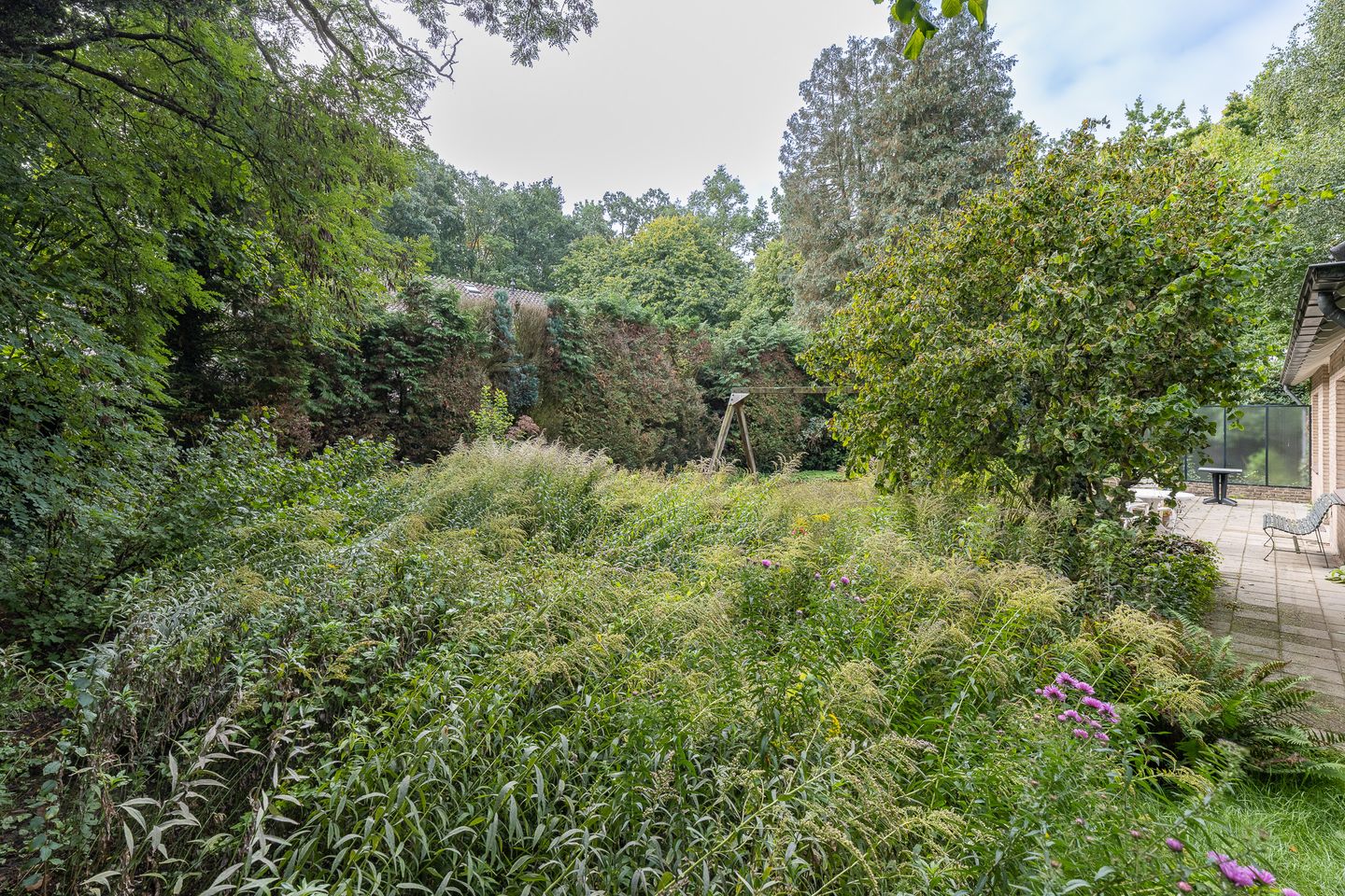 Foto 40 van Doctor Schaepmanlaan 14