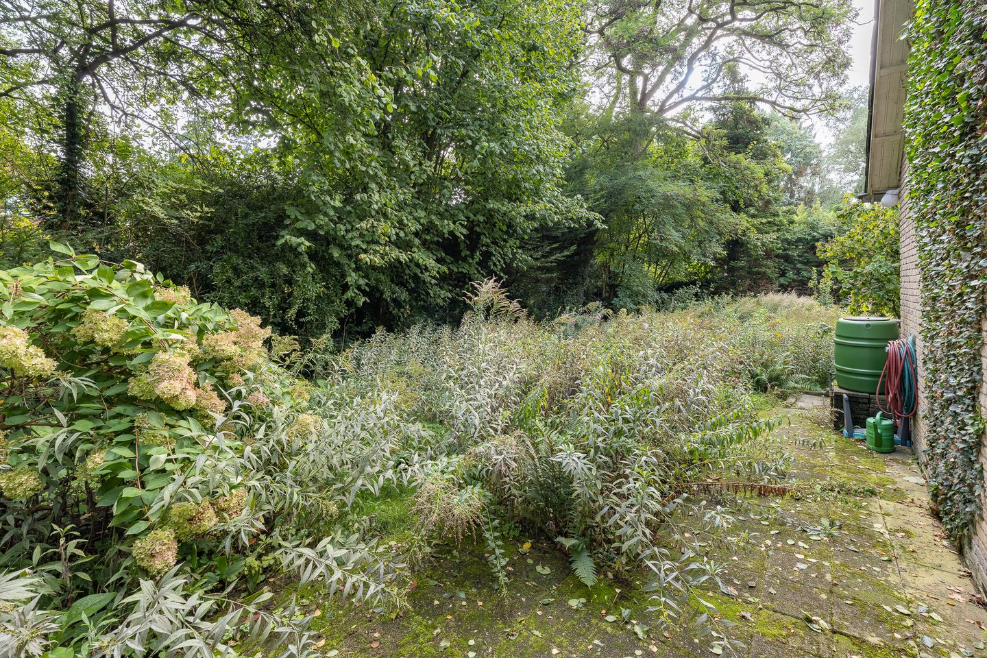 Foto 44 van Doctor Schaepmanlaan 14