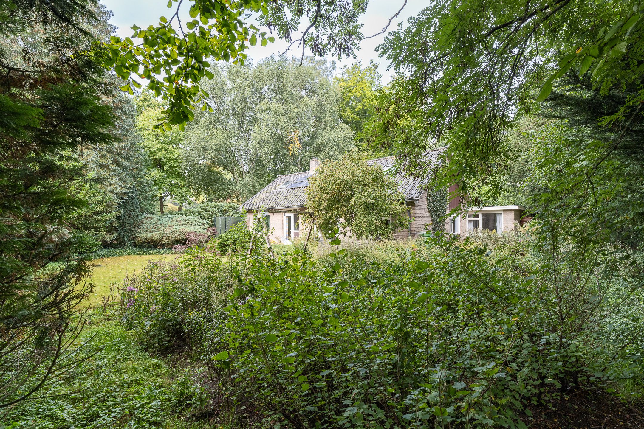 Foto 39 van Doctor Schaepmanlaan 14