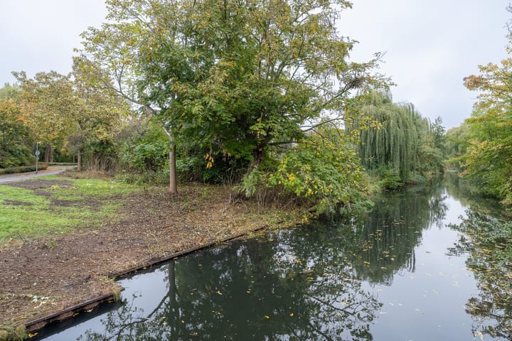 Foto 41 van Gildemark 54