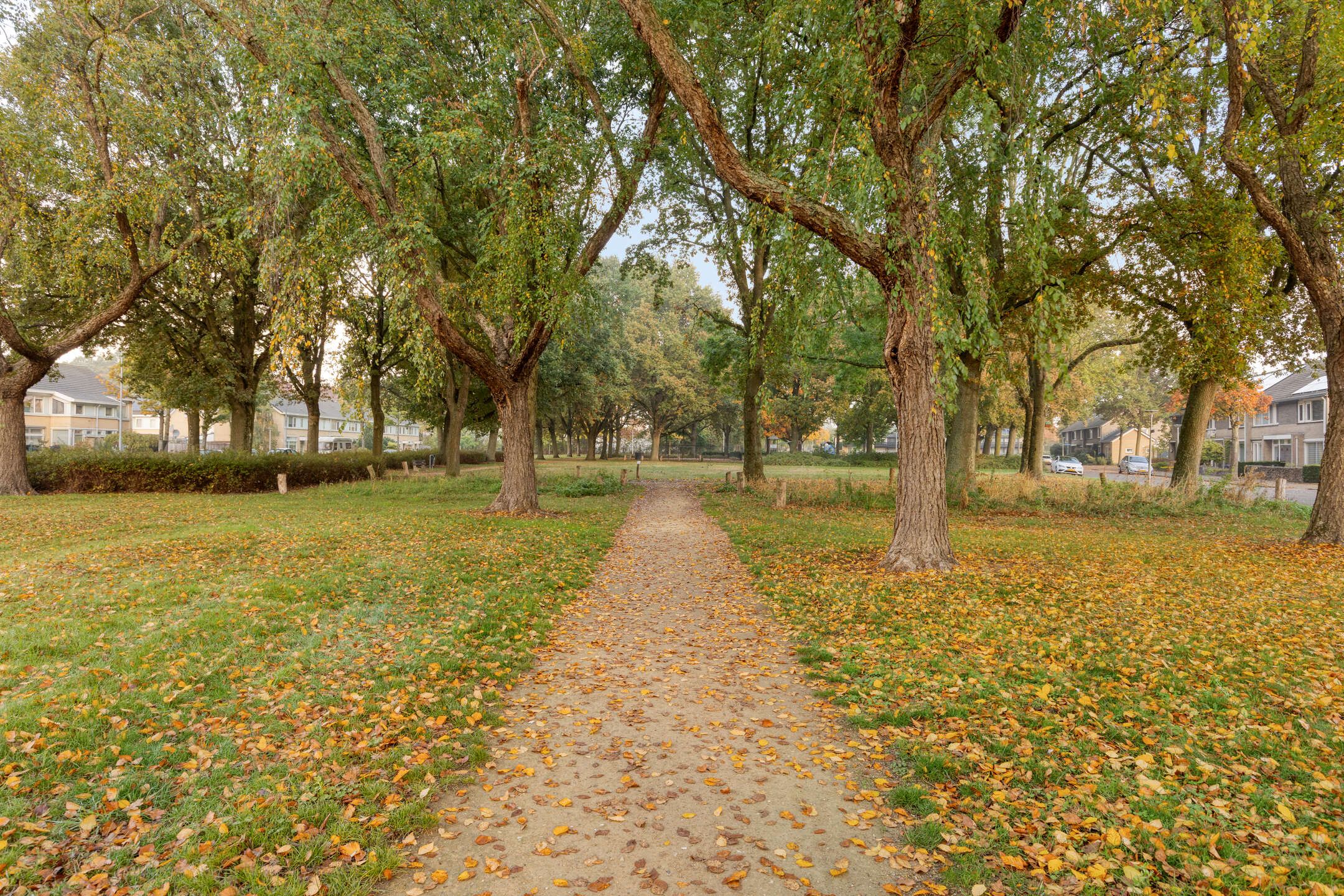 Photo 36 of Flevolandlaan 4