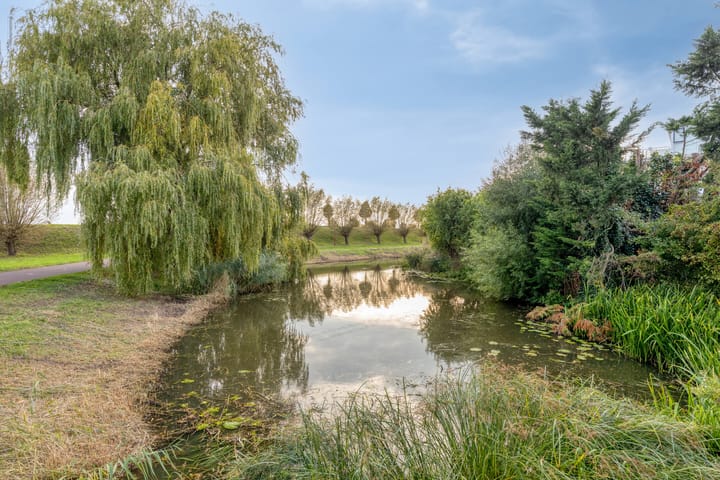 Foto 35 van Basalt 46