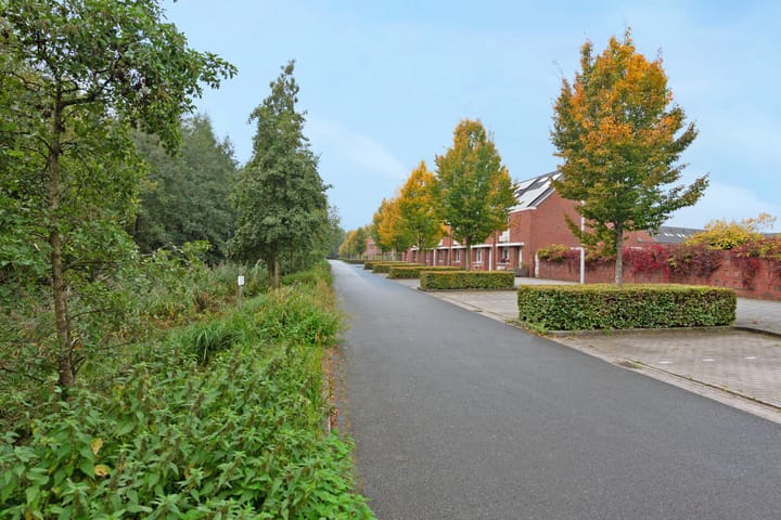 Foto 11 van Tsjaikovskistraat 6