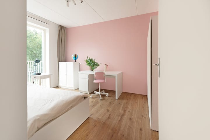 Foto 22 van Tsjaikovskistraat 6