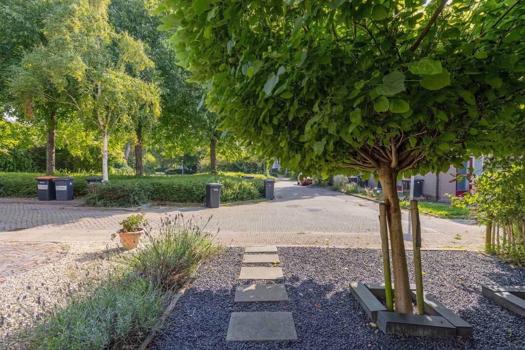 Photo 8 of Beuninge 68