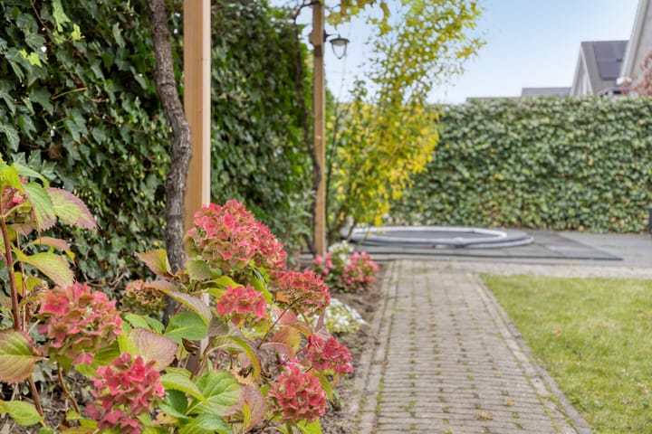 Foto 33 van Rosep 12