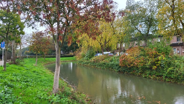 Foto 32 van Reinekeshof 19