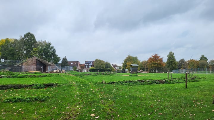 Foto 35 van Reinekeshof 19