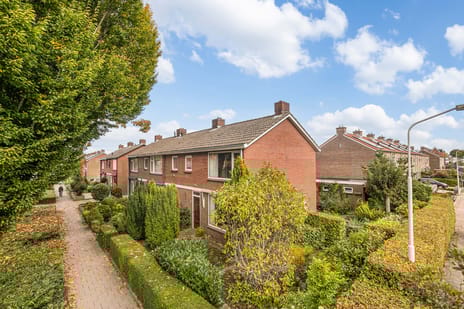 undefined main image