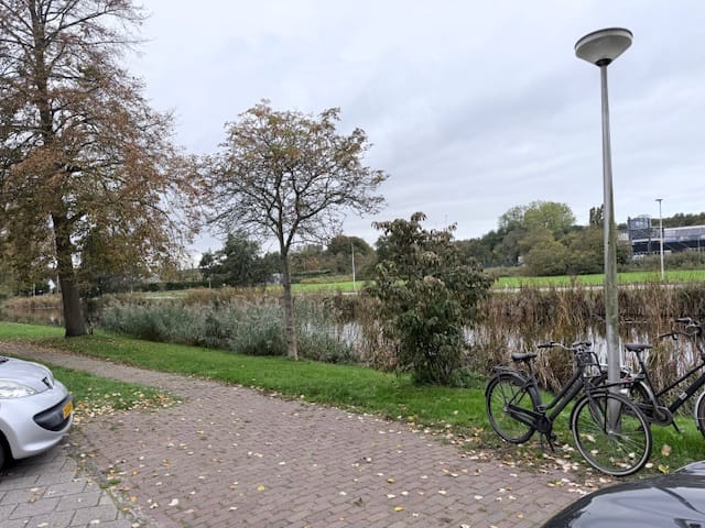 Photo 6 of Rijnlaan