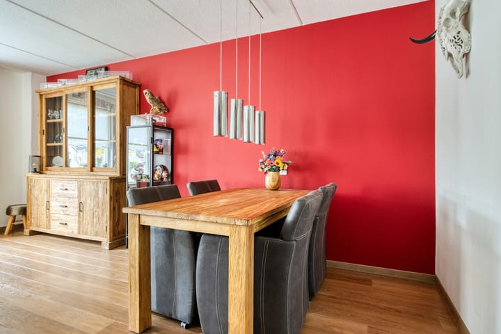 Photo 11 of Pastorijleane 11