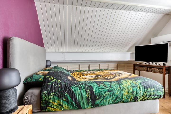 Photo 19 of Pastorijleane 11