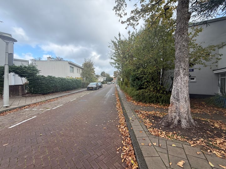 Foto 6 van Onderlangs 65