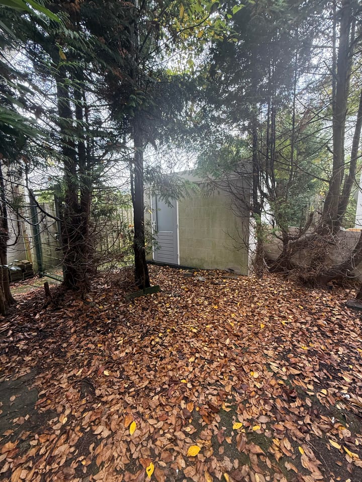 Foto 28 van Onderlangs 65