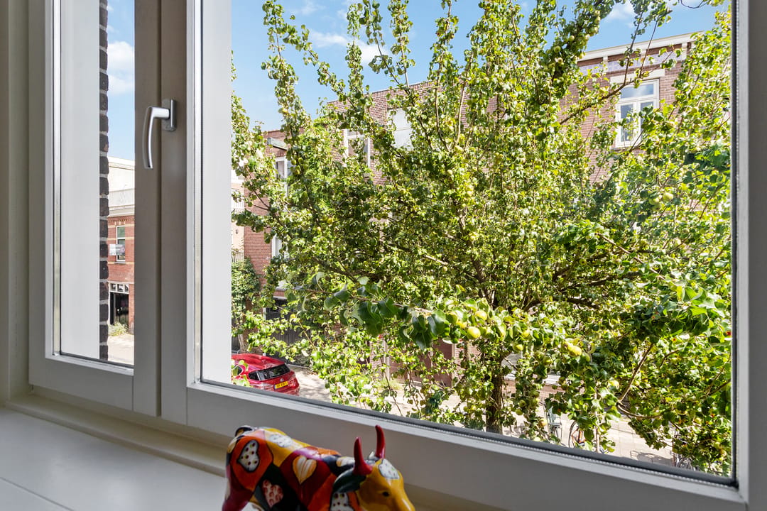 Photo 16 of Douwes Dekkerstraat 20