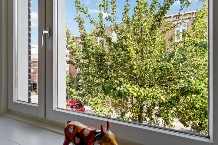 Foto 16 van Douwes Dekkerstraat 20