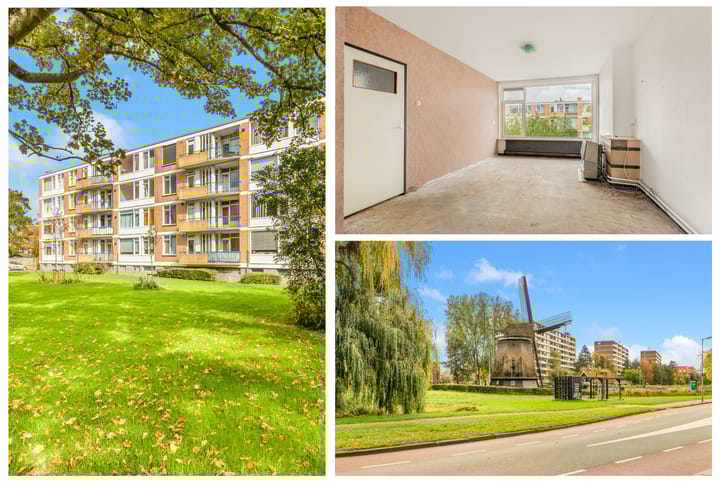 Photo 2 of Van Ostadelaan 124