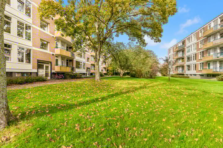 Photo 29 of Van Ostadelaan 124