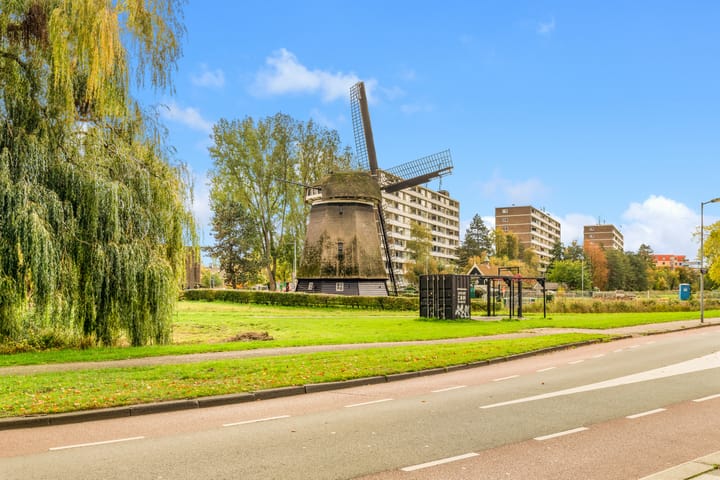 Photo 30 of Van Ostadelaan 124