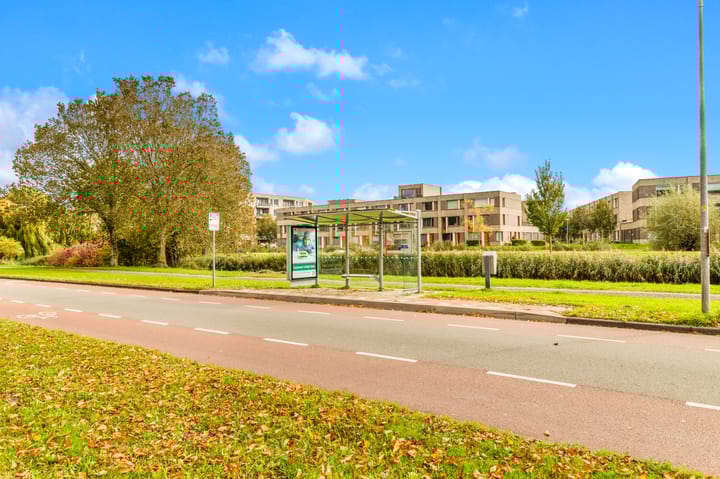 Photo 32 of Van Ostadelaan 124