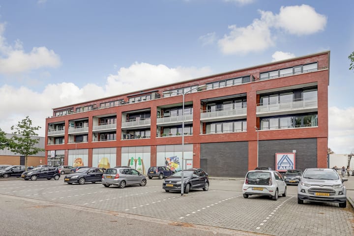 Homberg 2519-L main image