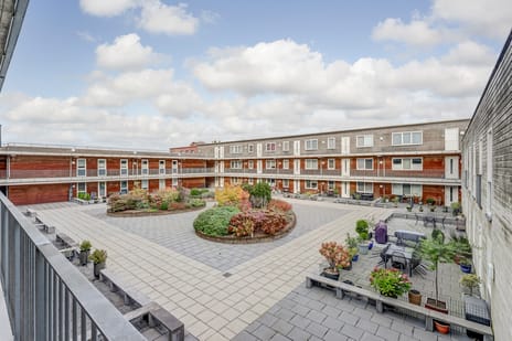 Homberg 2519-L secondary image