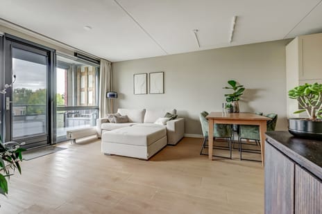 Homberg 2519-L tertiary image