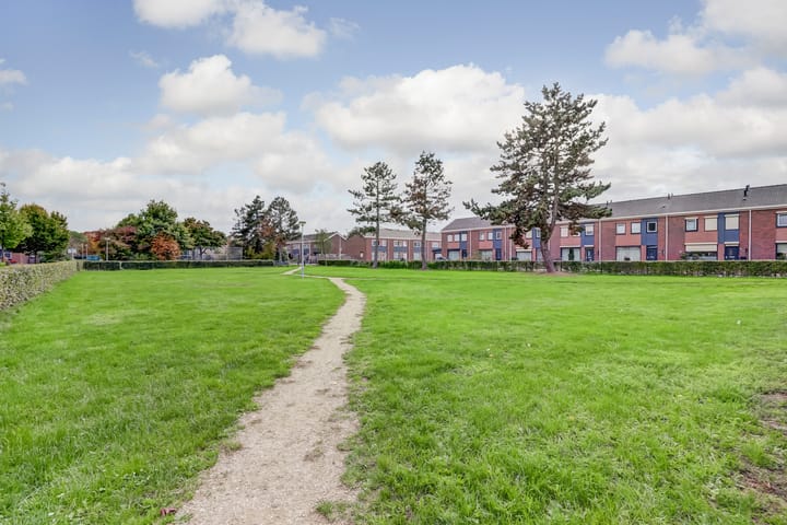 Foto 48 van Homberg 2519-L