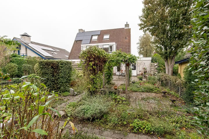 Foto 2 van Pinksterbloem 29