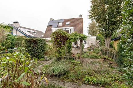 Pinksterbloem 29 secondary image