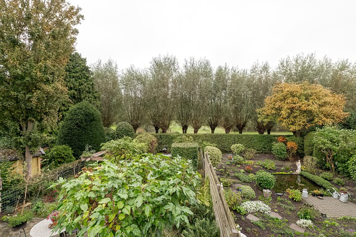 Foto 3 van Pinksterbloem 29